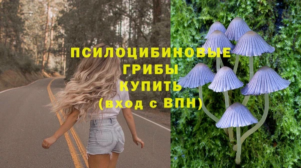 стафф Вязьма